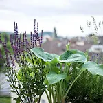 Hottingen - Near Old Town And Curych