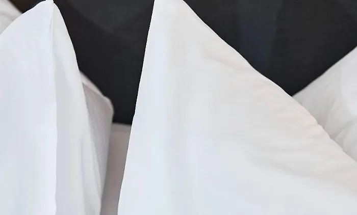 霍廷根酒店 _x000d_ 苏黎世