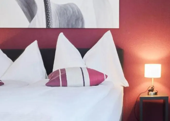 霍廷根酒店 _x000d_ 3* 苏黎世