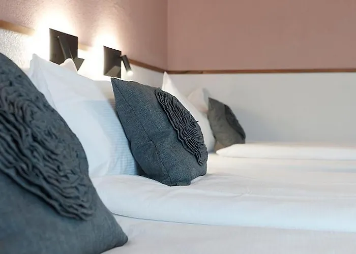 霍廷根酒店 _x000d_ 3*