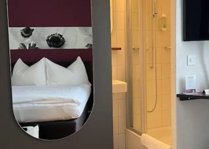 霍廷根酒店 _x000d_ 苏黎世