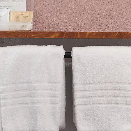 Hotel Hottingen Zurigo